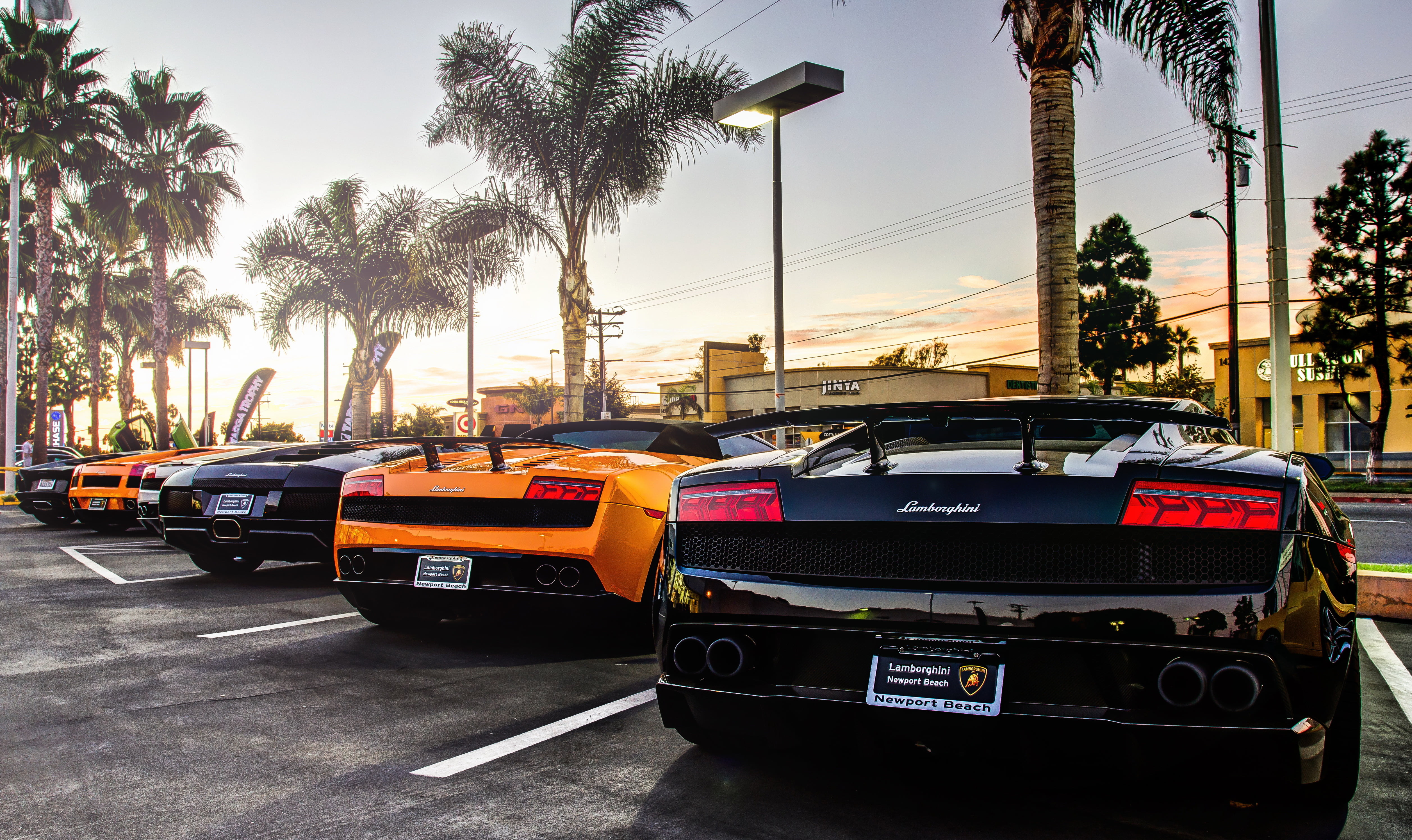 Murcielago and Gallardo