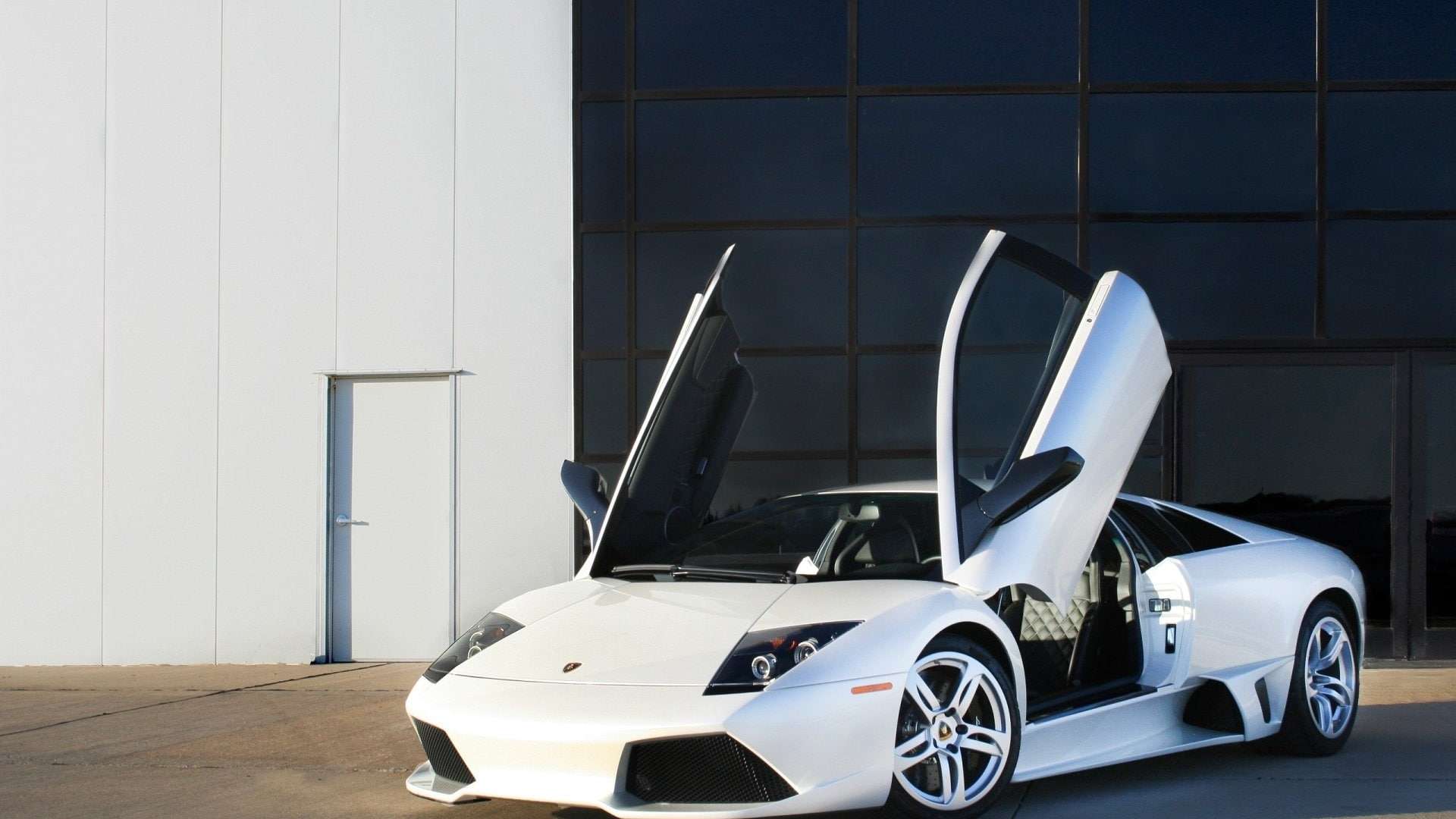 Murcielago